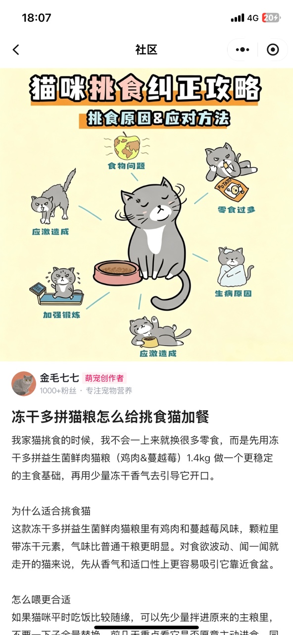O客自有平台文章展示