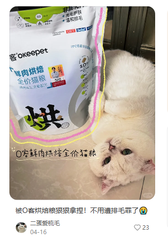 小红书笔记展示